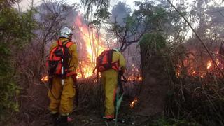 Bolivia registra dos fallecidos que intentaban sofocar incendios en la Amazonía