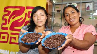 Devida: Más de 17 mil familias eligieron cultivar café en lugar de la hoja de coca