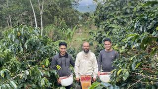 Caficultores del Bosque de Protección Alto Mayo buscan promover a nivel internacional café sostenible