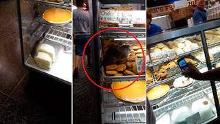 Facebook Viral: Un roedor gigante genera el caos en histórica pastelería de Baltimore [VIDEO]