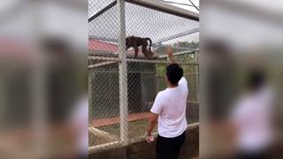 Joven rapea frente a jaula de monos y uno de ellos reaccione de forma curiosa