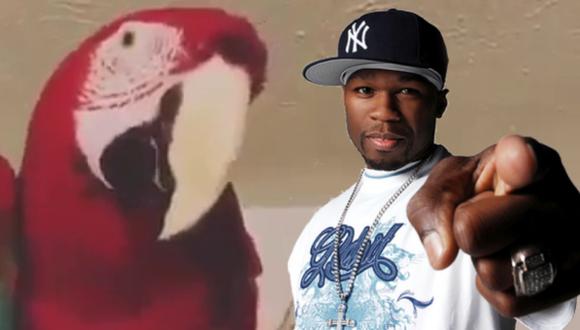 Esta guacamaya causa furor en Facebook con sus hipnotizantes movimientos al ritmo de 50 Cent. (Foto: Hip-Hop Society en Facebook/USI)
