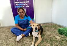 ‘Vaguito’, perro estrella del cine peruano, se fotografió con sus fans: Todos los detalles del evento [VIDEO]