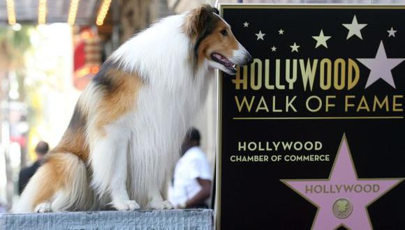 Lassie, uno de los perros más famosos en toda la historia del cine. (Internet)