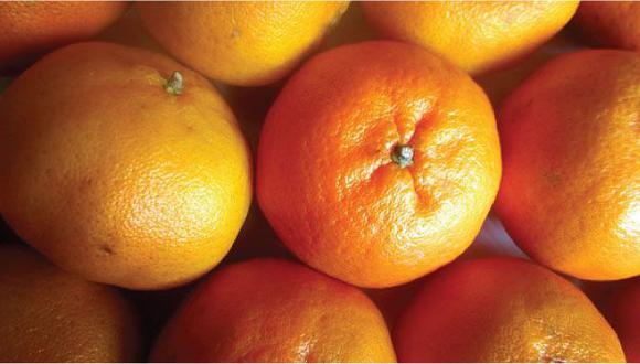 Niña muere por comer mandarina infectada con agroquímico prohibido en Argentina.