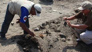 Trujillo: Invasores desenterraron restos arqueológicos prehispánicos
