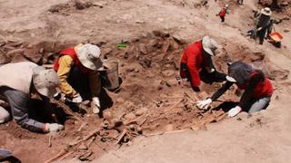 Ayacucho: Nuevos hallazgos arqueológicos de la cultura Wari
