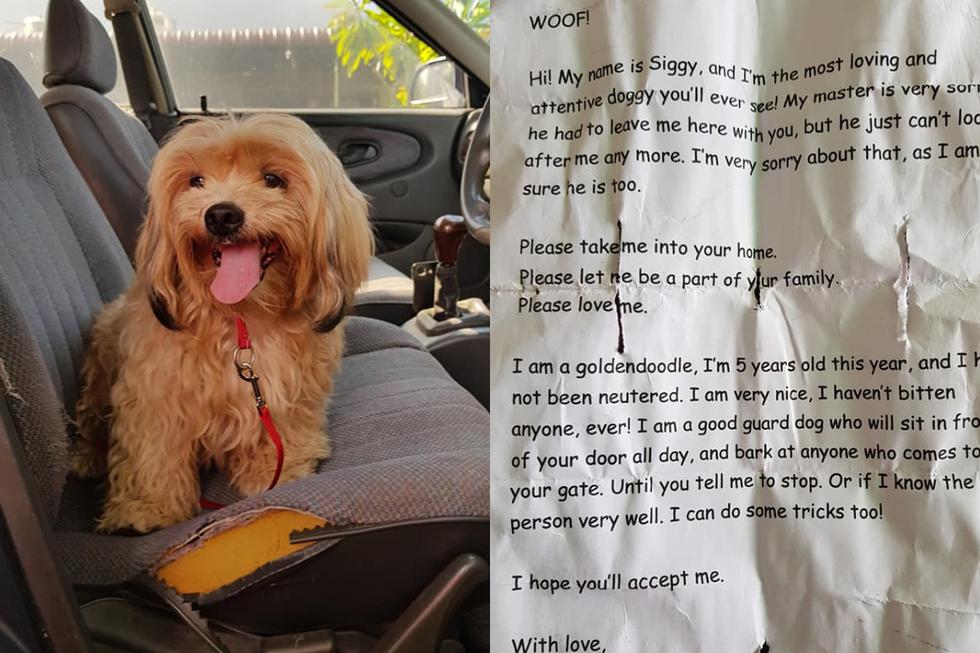 Lionel Vytialingam es un hombre de Ipoh, Malasia, que se dirigía a hacer compras en su auto cuando se topó con una cachorra que intentaba eludir el tráfico. (Foto: Facebook/Lionel Keith Vytialingam)