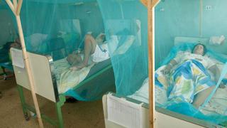 Perú: dengue hemorrágico mató a 27