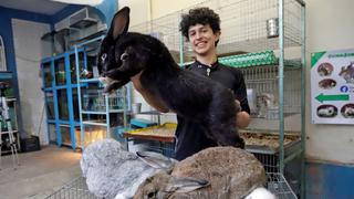 Un estudiante mexicano cría los conejos más grandes del mundo en Puebla 