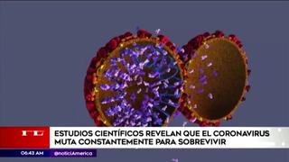 Estudios científicos revelan que el coronavirus muta constantemente para sobrevivir