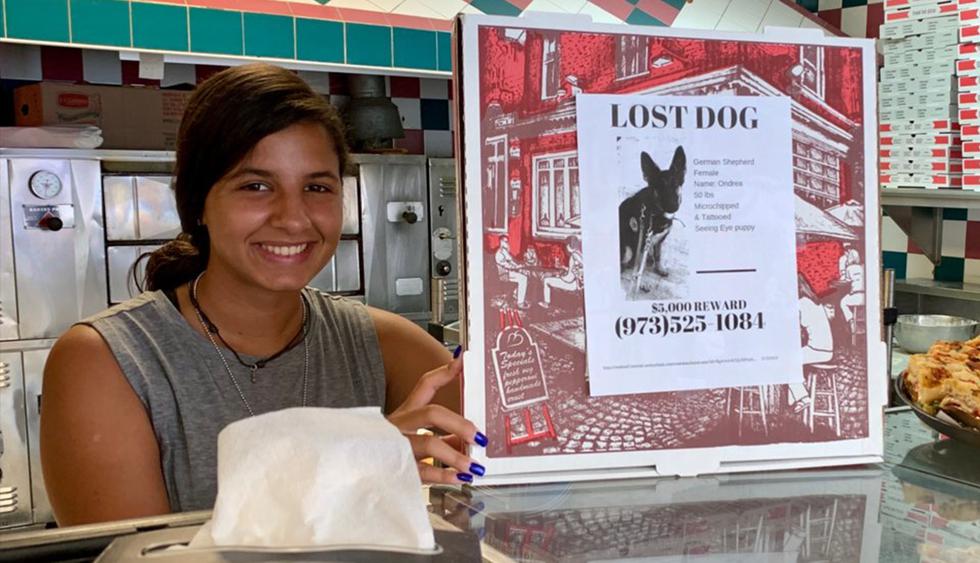 Pizzería de Nueva Jersey coloca afiches de mascotas perdidas en sus cajas para ayudar a encontrarlos. La iniciativa es viral en Facebook. (Angelo’s Pizza)