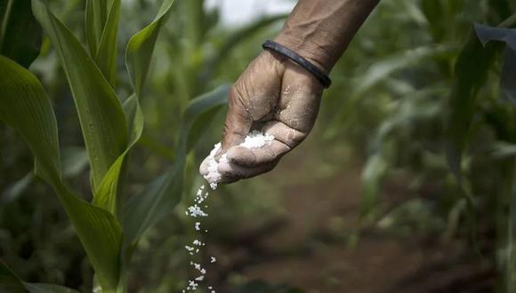 Además, la congresista se refirió a la distribución de los fertilizantes y dijo que así lleguen los fertilizantes, aún no se cuenta con la capacidad logística para poder distribuirlos eficazmente. (Foto: AFP)