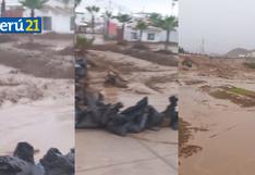 Quebrada se desborda y causa inundaciones en Punta Hermosa: “La cantidad de caudal aquí es impresionante”
