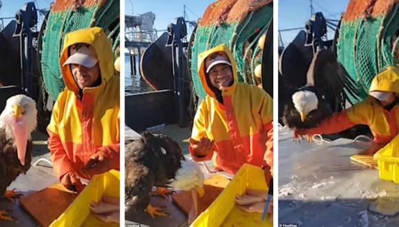 Un pescador protagonizó un insólito encuentro con una águila calva que revoluciona las redes sociales. (Foto: West Coast Fisherman en Facebook)