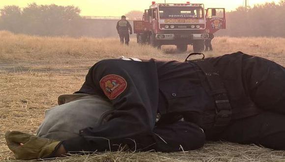 ¿Por qué se volvió viral esta foto de una mujer bombera argentina durmiendo sobre el pasto? (Luciana Rizzo)