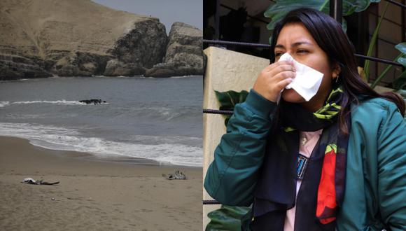 Minsa informa los síntomas si tuviste contacto con un ave muerta o moribunda ante la emergencia por gripe aviar en el Perú. (Foto: GEC/Minsa)