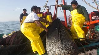 Produce: Temporada de pesca de anchoveta empezaría el 26 de marzo