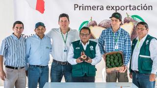 Perú exporta por primera vez palta Hass a China tras superar barreras fitosanitarias
