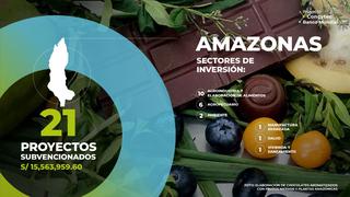Concytec financia más de 15 millones de soles en el desarrollo de la competitividad de la región Amazonas 