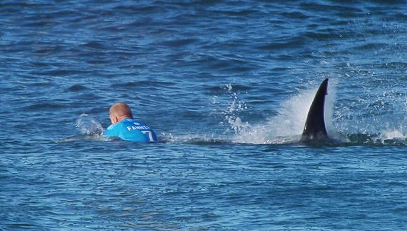 El registro de ataques de tiburones en Australia contabilizado por el zoológico de Taronga indica que, hasta este incidente, en 2021 todavía ninguna persona había perdido la vida por el ataque de un escualo, si bien dos resultaron heridas previamente. (Foto referencial: WSL / AFP)