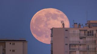 Semana Santa: No te pierdas la Luna Rosa que podrá ser vista este 16 de abril
