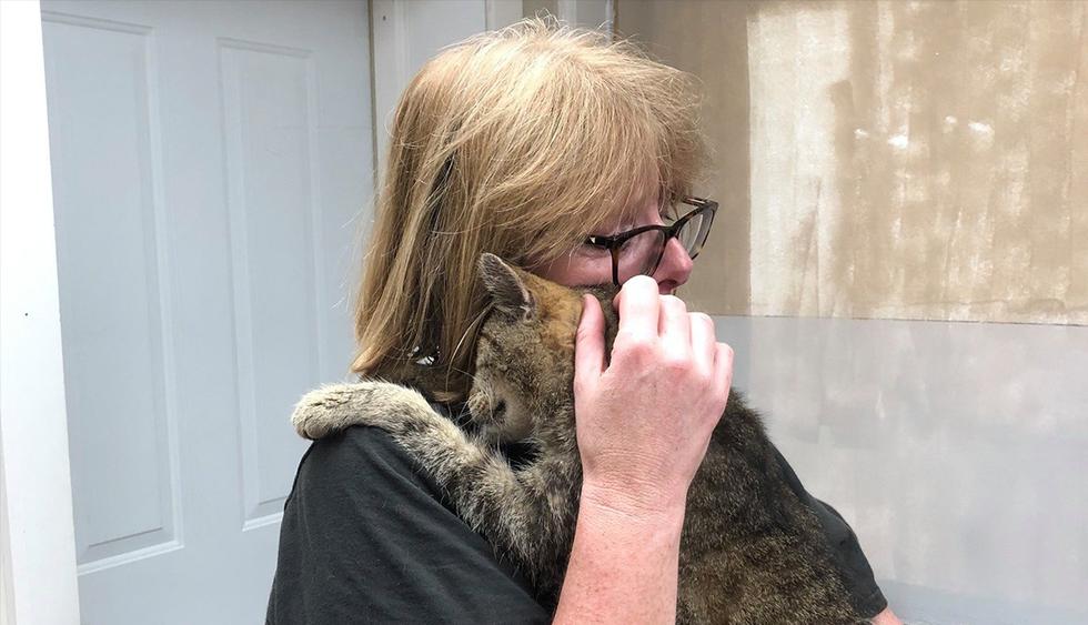 Un gato desaparecido se reúne con su dueña 11 años después. La historia es viral en redes sociales.&nbsp;(Facebook | Dutchess County SPCA)