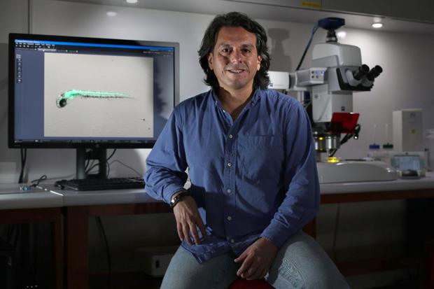 El doctor Edward Málaga Trillo considera que se pueden aprovechar los laboratorios de última generación de las universidades peruanas para realizar más diagnósticos de Covid-19. (Foto: Juan Ponce / El Comercio)