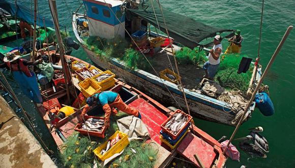 Para estas comunidades de pescadores artesanales la merluza es su principal fuente de ingreso desde los años 70 pero aún no pueden tener un acceso formal a dicha actividad.