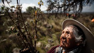 Fotografías peruanas fueron premiadas en la muestra “Naturaleza que Cuida” 