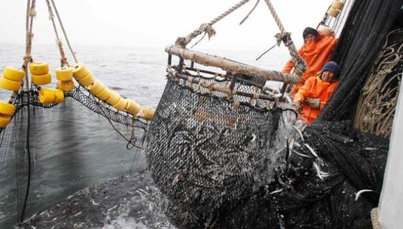 Se prohibe pesca de anchoveta por quince días en Pimentel y Huarmey (Difusión)