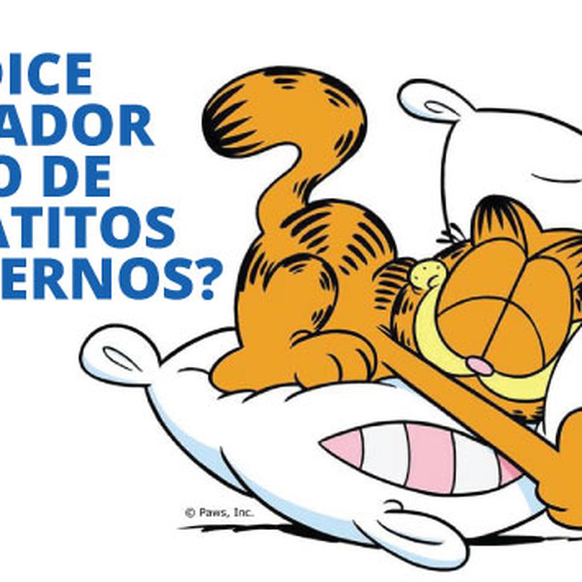 Garfield no tiene género? La polémica acerca del gato de la que todos  hablan | CHEKA | PERU21