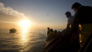 Suspenden pesca de merluza por siete días por alta incidencia de ejemplares juveniles
