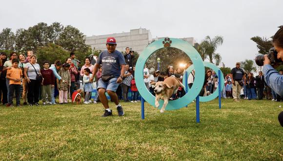 Inauguran el primer parque de diversiones canino. (Foto: Municipalidad de Surco)