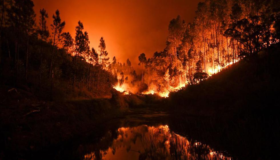 Suben a 62 los muertos en incendio en el centro de Portugal. (AFP)