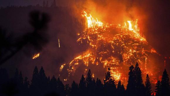 Chile: Se eleva el número de muertos por incendios forestales. (EFE)