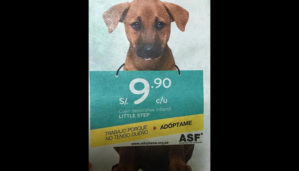Supermercado se unió a campaña ‘Trabajo porque no tengo dueño’ con el fin de que los cachorros sean adoptados. (Facebook Gianna Cárdenas)