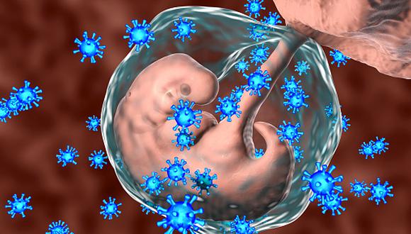Viruses infecting human embryo, conceptual illustration. The embryo is 4 weeks old. Many viruses cause foetal abnormalities or stillbirth. For example, rubella, herpes and cytomegalovirus cause different foetal pathology, whilst foetal measles infection usually leads to stillbirth.