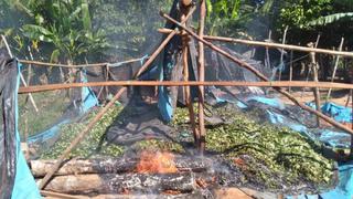 Huánuco: Pueblos indígenas de la selva denuncian la expansión del narcotráfico en sus territorios