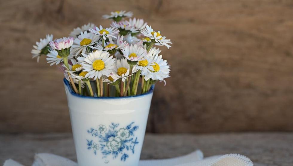 Los baldes o cerámicas diferentes nos ayudan a darle más elegancia a las flores. (Foto: Pixabay)