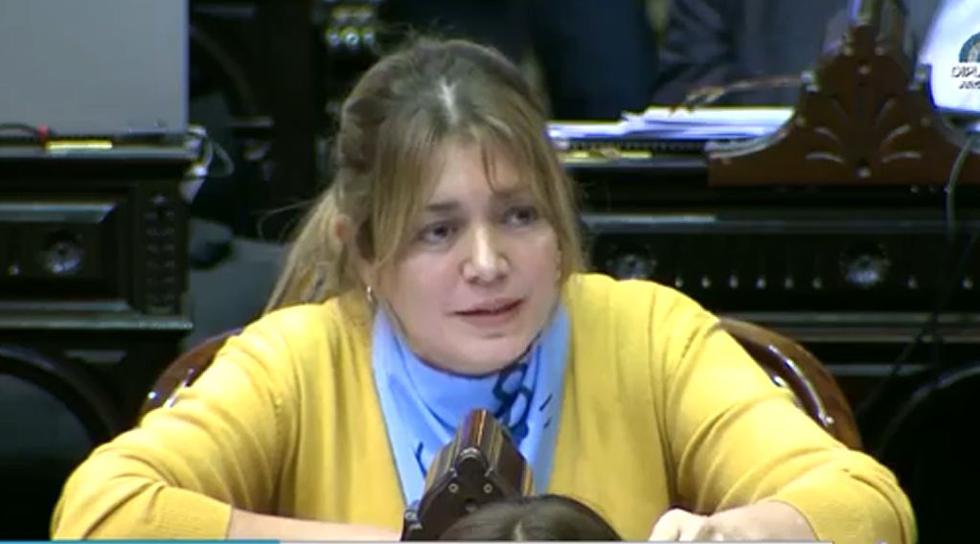 La diputada Estela Regidor (UCR-Corrientes) tuvo una polémica intervención durante el debate sobre la legalización del aborto. (Diputados Argentina)