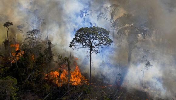 Según científicos, la selva amazónica puede sufrir un proceso de "sabanización" que afectaría irremediablemente a la capacidad del planeta de reciclar CO2. (Foto:  CARL DE SOUZA / AFP)
