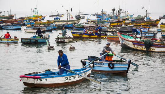 El sector pesquero fue el que más cayó en 2022.