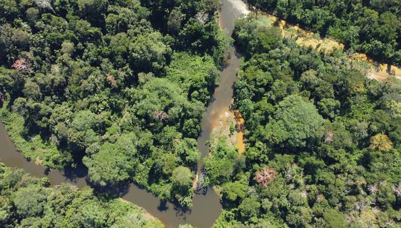 Imagen de dron de la selva amazónica en Madre de Dios. Foto: Therany-Gonzales-ACEER
