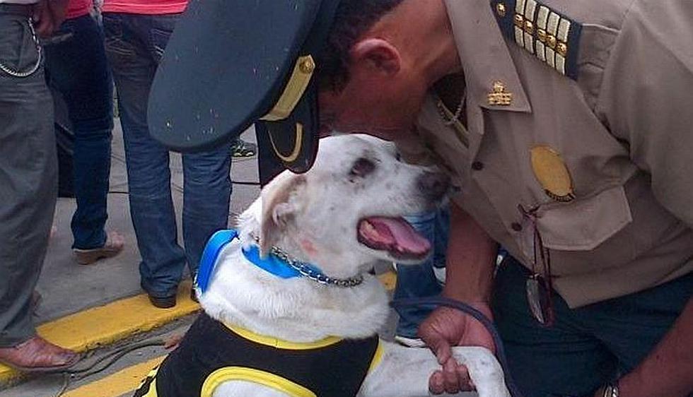 Julio, el perro policía que fue ascendido a capitán, murió esta tarde. (USI)