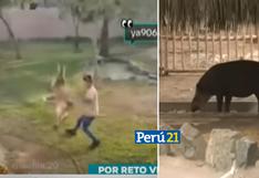 Indignante: TikTokers agreden a animales del Parque de las Leyendas por ‘reto viral’ (VIDEO)