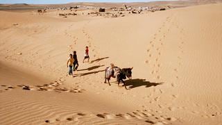 Argelia ha abandonado 13,000 migrantes en el desierto del Sahara desde el 2014