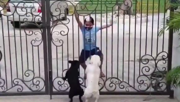 Un video viral tiene como protagonistas a un niño y dos perros que realizan una coreografía muy peculiar. | Crédito: @VineshKataria / Twitter.