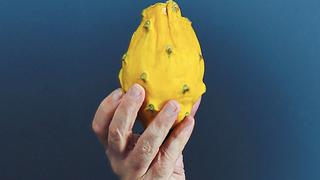 La pitahaya latinoamericana vislumbra un gran futuro en el mercado asiático y norteamericano
