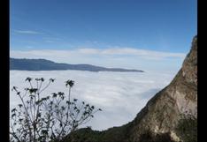 Bosques Nublados de Udima, un área poco conocido del norte peruano | FOTOS
